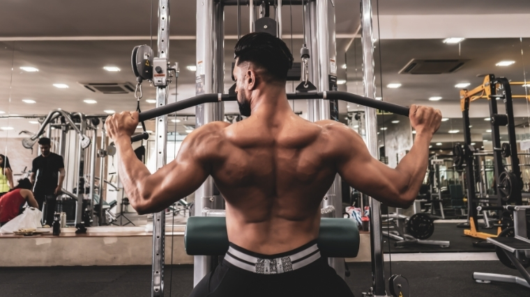 How Back Workout Is the Best